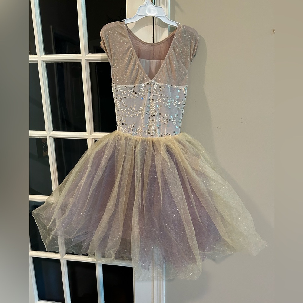 Weissman Dance Costume - image 3